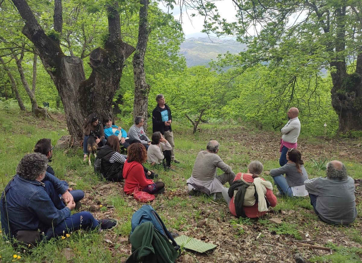 Bosques y salud en los castañares de Pujerra