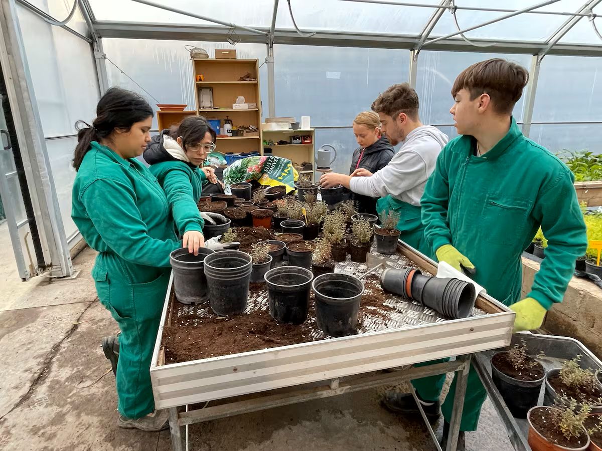 Educación implantará un ciclo de Agro-jardinería en el instituto Valle del Genal en sustitución del de Albañilería