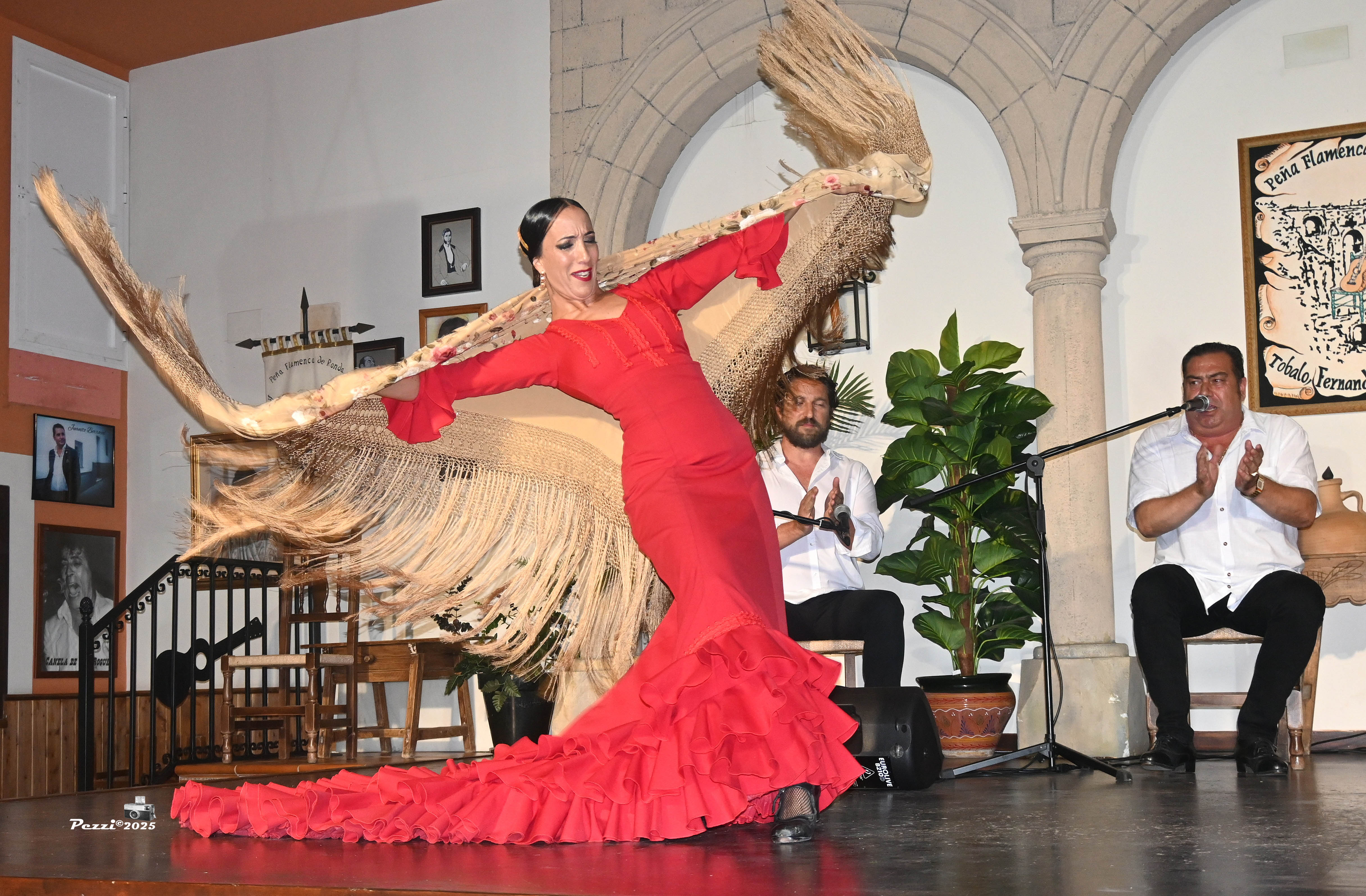 Rosario Pedraja Acedo 'Charo Pedraja' ofreció una gran actuación en las tablas de la Peña de Ronda. Foto Pezzi.