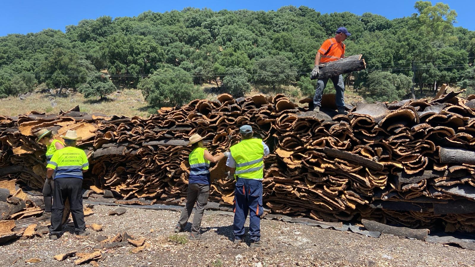 Los trabajos de extracción del corcho ya han empezado en Cortes de la Frontera.
