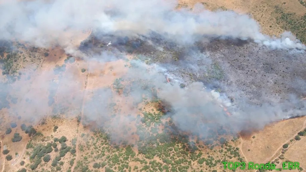 Varias unidades del Infoca luchan contra un incendio forestal en Montecorto