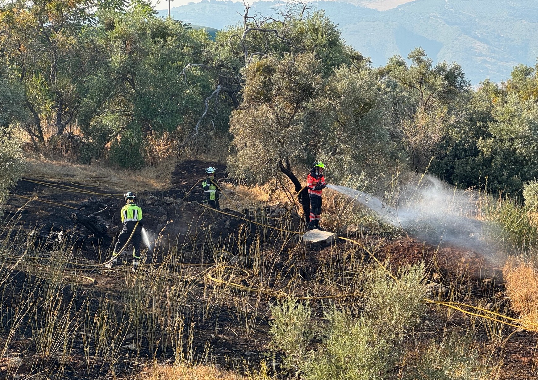 Un conato de incendio en el polígono El Fuerte obliga a desalojar el club de tenis La Torrecilla y a los residentes de una vivienda cercana