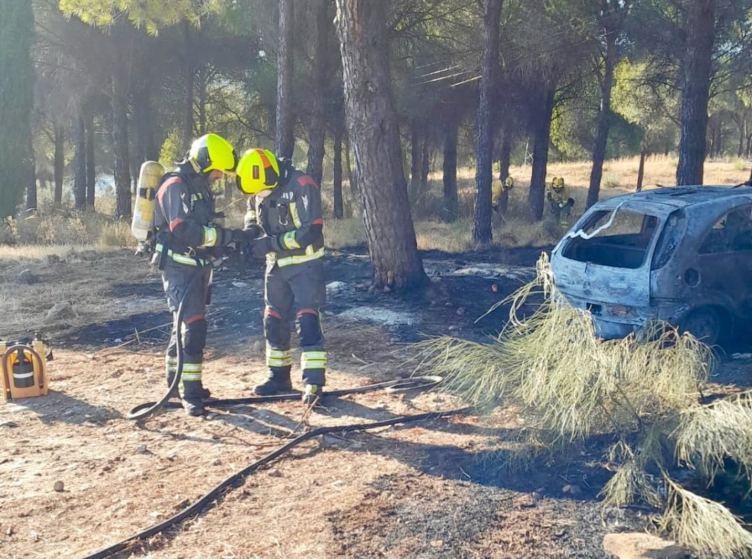 Bomberos y miembros del Infoca han extinguido de forma rápida las llamas en el pinar. Foto Bomberos Ronda.