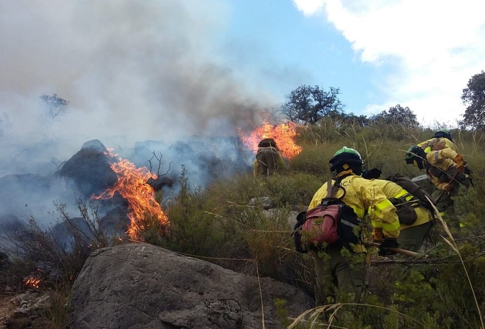 Andalucía convalidará la exención del 100% en los cánones de pastos públicos para frenar los incendios