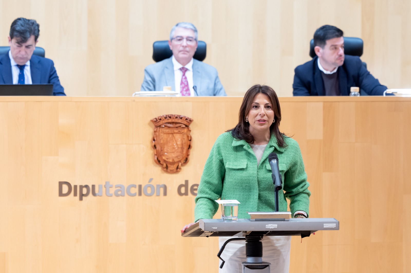 Fernández ha intervenido hoy en la Tribuna de los Alcaldes de la Diputación.
