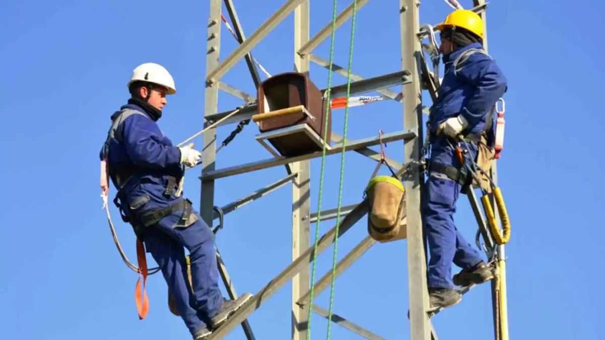Operarios de Endesa en trabajos de mantenimiento de una línea eléctrica.