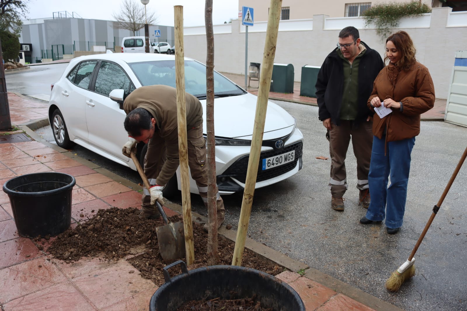 Parques y Jardines planta un centenar de árboles en treinta espacios públicos