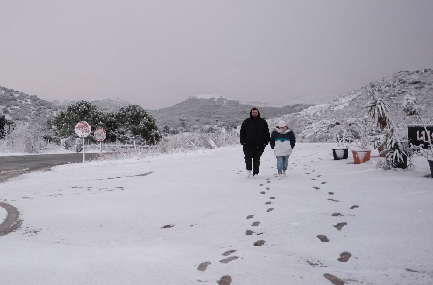 La nieve y el frío se apoderan de los parajes de la Serranía de Ronda