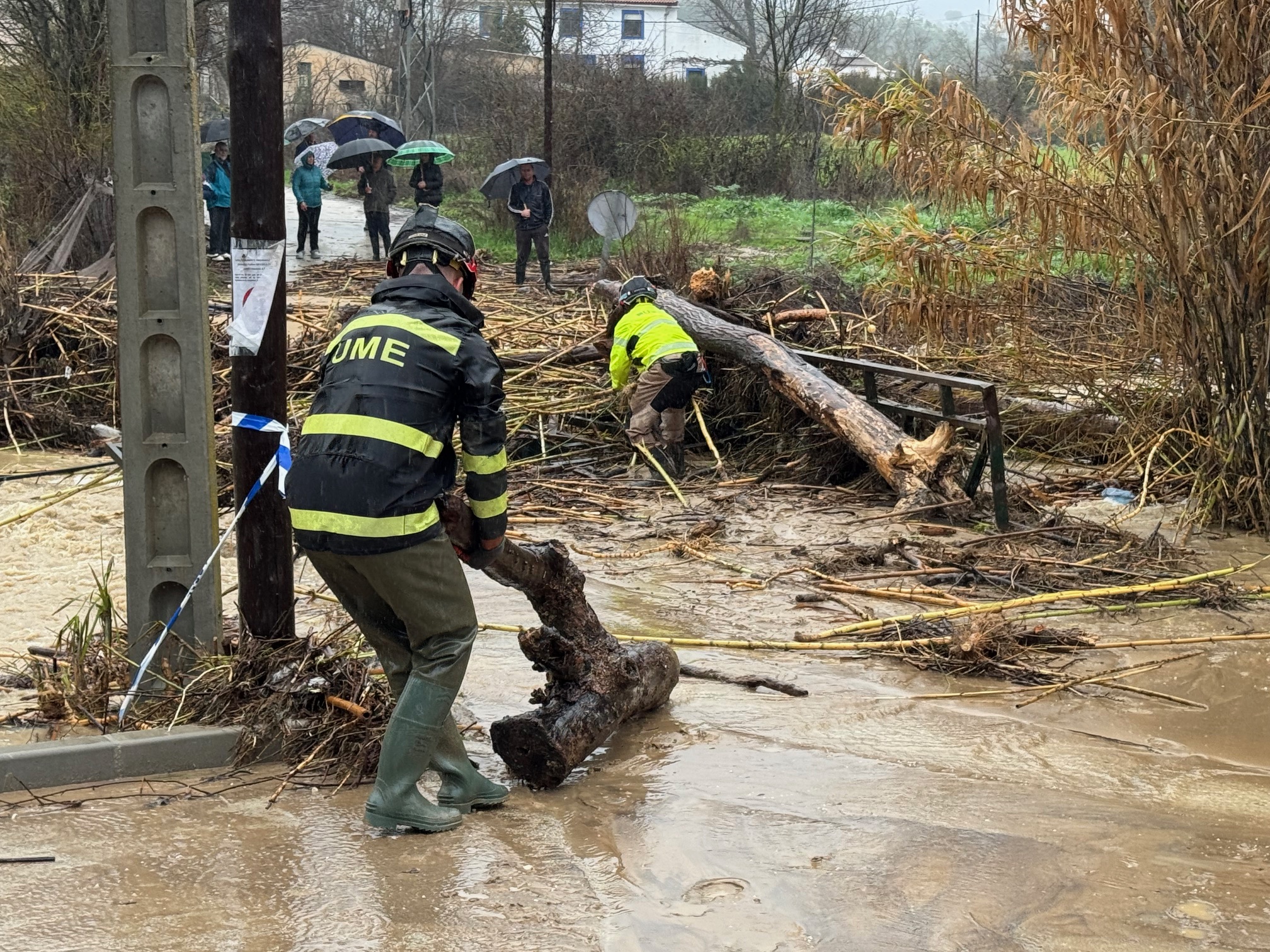 Militares de la Ume retirando troncos deql puente del Pelistre, en el río Guadalcobacín.