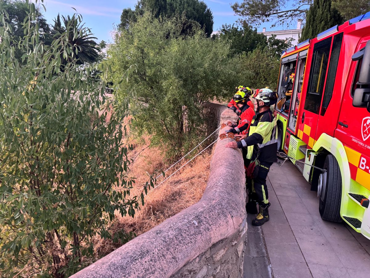 Bomberos del Consorcio Provincial durante las labores de búsqueda del perro.