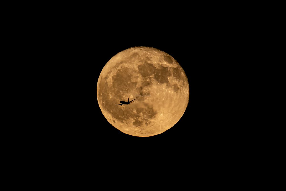 Silueta a contraluz sobre la Luna llena. Foto: Miguel Angel Pezzi Cereto.