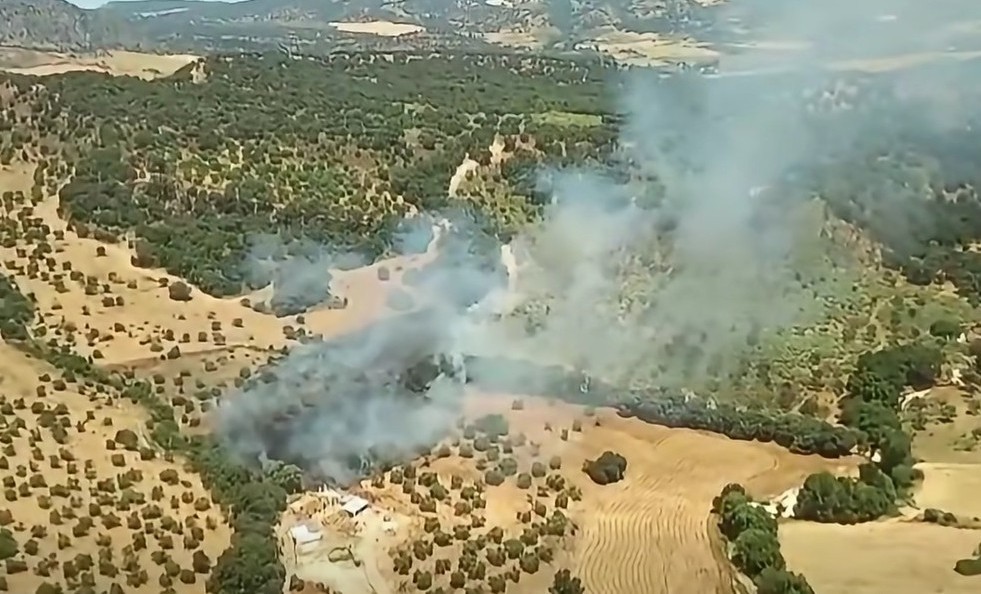 Imagen aérea de la zona afectada facilicata por el Infoca.