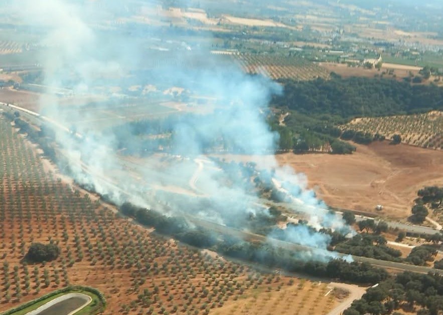 El incendio ha afectado hasta el momento una hectárea de arbolado. Foto Infoca.