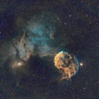 sHO Nebulosa Medusa, IC 443 Jellyfish Nebula. Francisco Montero Arranz.