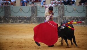 Héctor Nieto con la muleta en la mano.