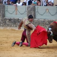 Jaime de Pedro en una de las faenas.