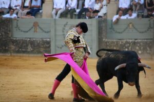 Armando Rojo en uno de sus capotazos.