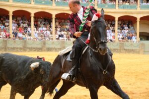 Joao Ribeiro Telles con su corcel ante el toro.