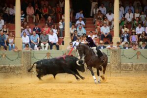 Lea Vicens en un momento de la lidia.