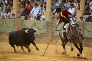 Sebastián Fernández recibiendo al toro.