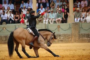 Diego Ventura junto a su corcel.