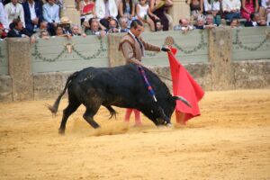 Manzanares en el ruedo.