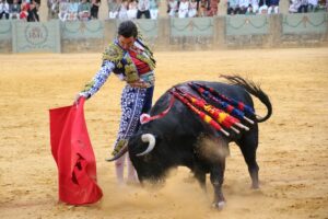 Morante con la muleta lidiando al toro.