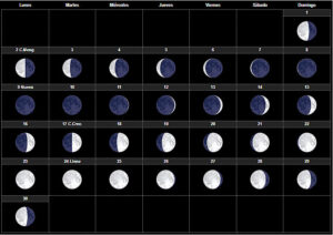 Fases lunares.